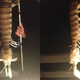 Illustration for article titled Fisherman catches monstrous giant shrimp in Florida